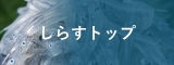しらすトップ