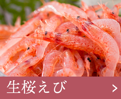 生桜えび