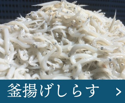 釜揚げしらす