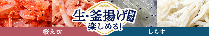 セットバナー