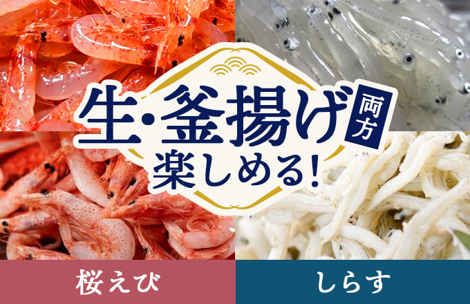 セットバナー