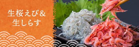 生桜えび＆生しらす
