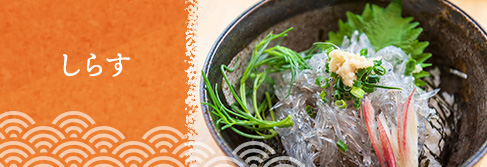 しらす