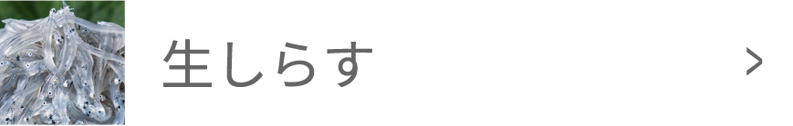 生しらす