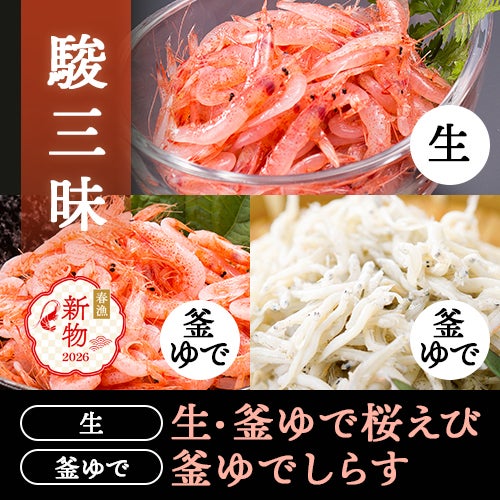 駿三昧