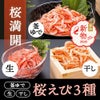 桜満開セット