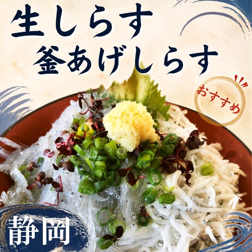 静岡由比港