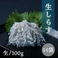 駿河湾生シラス1.2kg送料無料