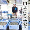静岡県産しらすは由比港水揚げ