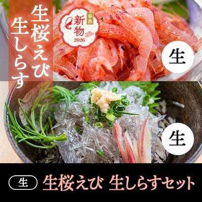 お刺身で