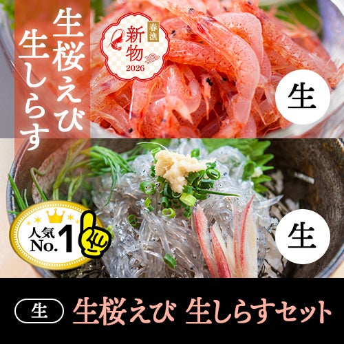 お刺身で