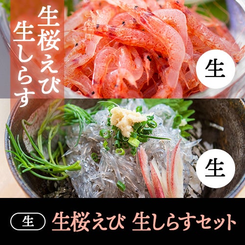 お刺身で
