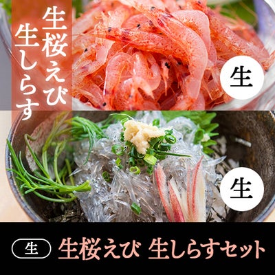 お刺身で